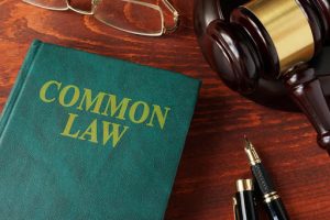 Ontario Common Law Rights (The Essential Guide)
